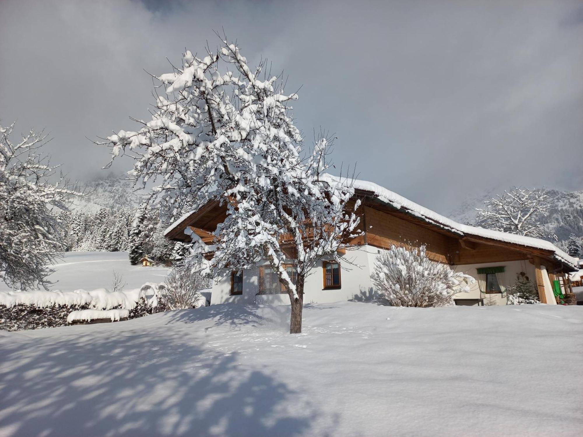 Chalet Gluecklich Sein... Ellmau Zewnętrze zdjęcie